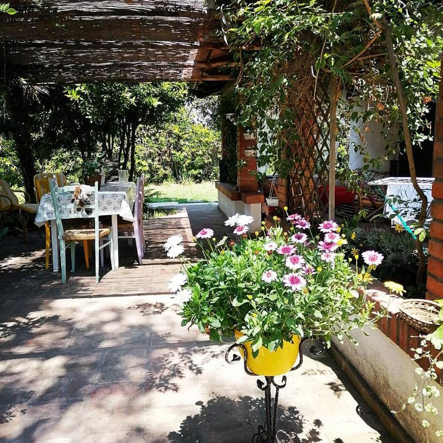 La Bricola Hotel Cavallino-Treporti Exterior photo