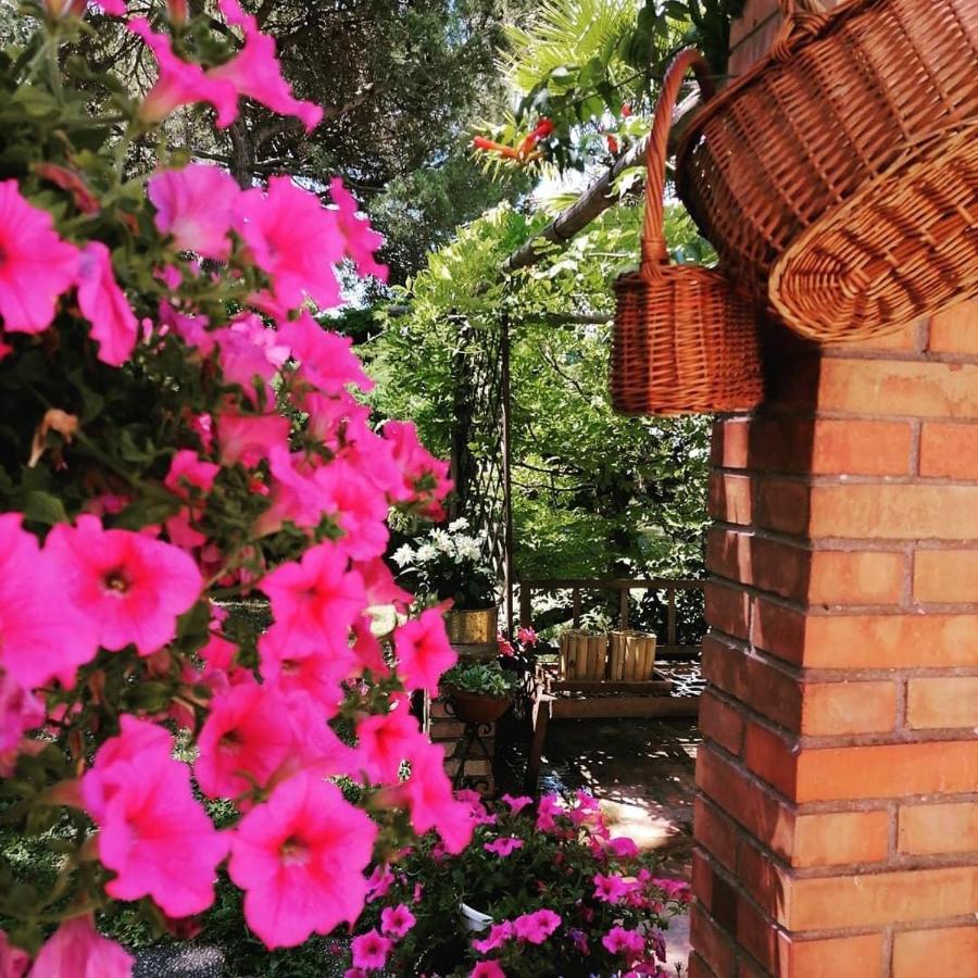 La Bricola Hotel Cavallino-Treporti Exterior photo
